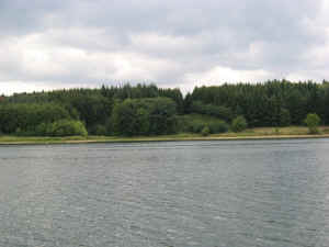 IMG_0479.jpg (324785 bytes)