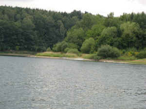 IMG_0480.jpg (401945 bytes)