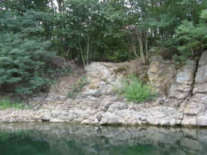 IMG_0484.jpg (528026 bytes)