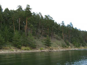 IMG_0497.jpg (334120 bytes)