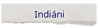 Indini