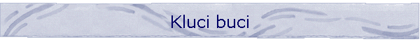 Kluci buci