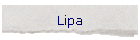Lipa