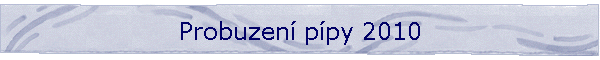 Probuzen ppy 2010