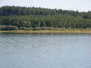 IMG_0683.jpg (370776 bytes)