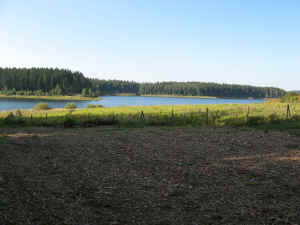 IMG_0688.jpg (389955 bytes)