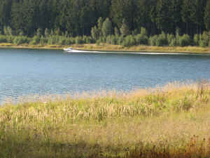 IMG_0689.jpg (535043 bytes)