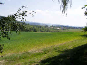 P5200210.JPG (178919 bytes)