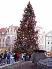 PC100026.JPG (46655 bytes)