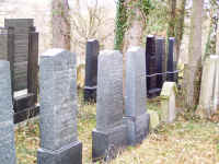 PB130060.JPG (200446 bytes)