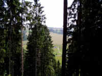 P7100096.JPG (43046 bytes)