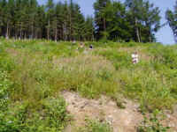 P7100098.JPG (32837 bytes)