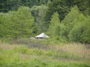 P7090059.JPG (168851 bytes)